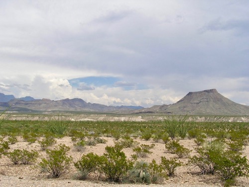 Big Bend